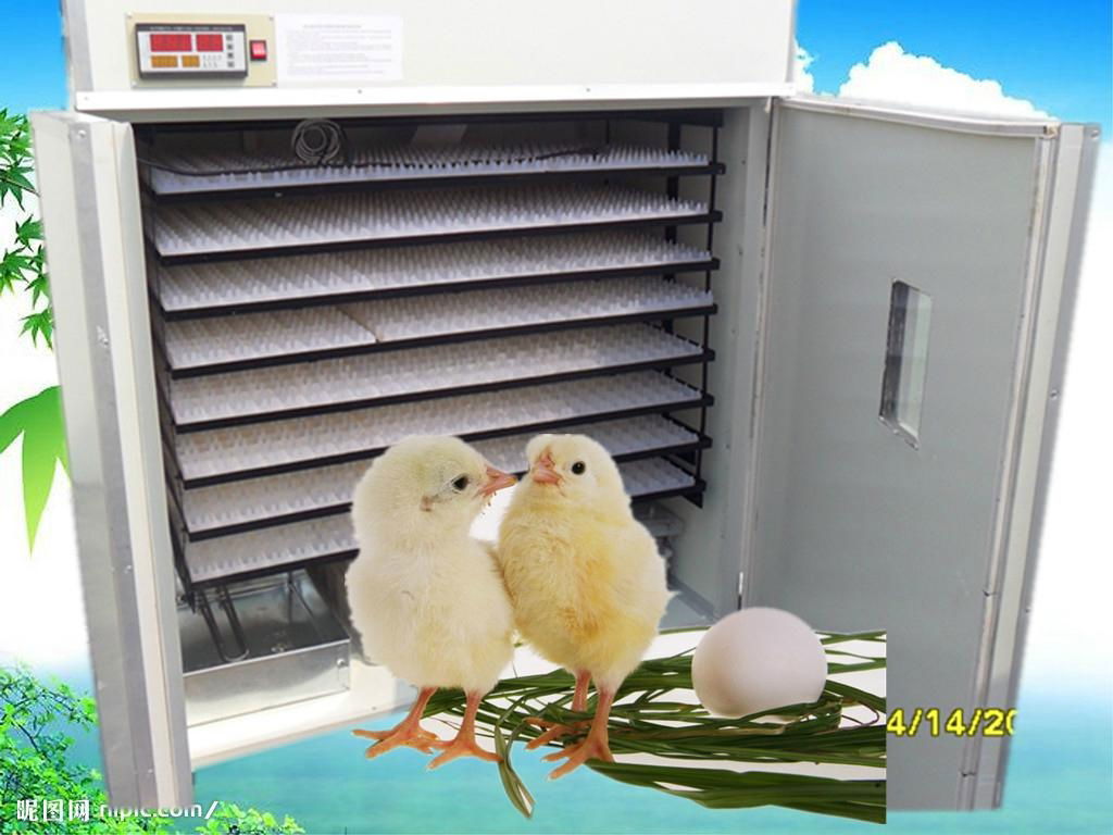 Hot selling  chicken egg incubator 