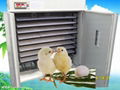 Hot selling  chicken egg incubator