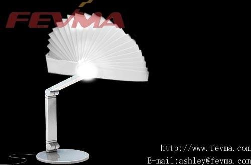 conch lamp，table lamp，craft lamp 2