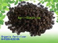 King8 Organic fertilizer (N+P2O5+K2O>8%) 1