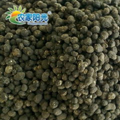 organic fertilizer