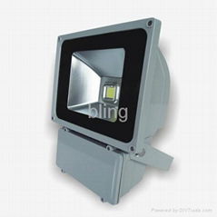 Zous-80W Floodlight