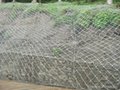 海岸防禦用的鍍鋅石籠網