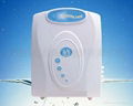 Household water purifier