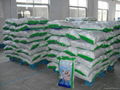 Hot Sale Exported Washing Powder 2