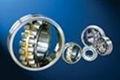 spherical roller bearings