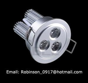 3W LED Down light