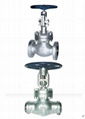 Cast steel globe valve