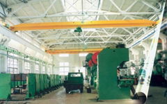 LDA Model motor-driven Single Beam Crane