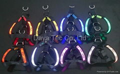 LED glowing pet harness with colorful LED lights and the size can be adjustable