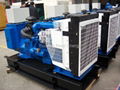 diesel generator set