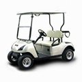 Hot Sell 2 Seater Electric Golf Car with