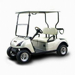 Hot Sell 2 Seater Electric Golf Car with CE certificate 