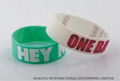 Custom  Silicone wristbandWBC0002 2