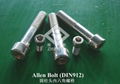 Hex Socket Cap Screw(DIN912)