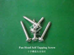 INOX A2 A4 STS CSK PH Self Tapping Screw(Din7981/7982)