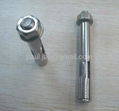 INOX SS304 SS316 Sleeve Anchor Bolt A2 A4 5