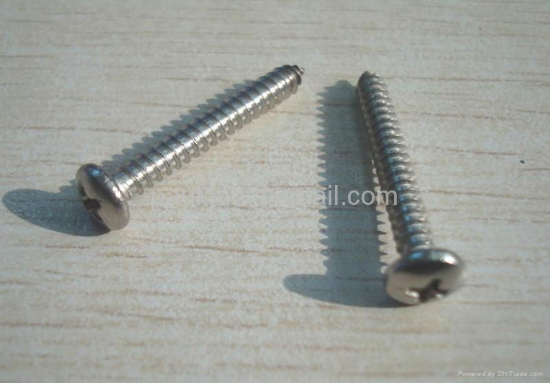 INOX A2 A4 STS CSK PH Self Tapping Screw(Din7981/7982) 4