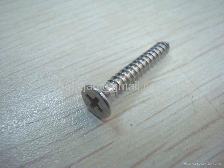 INOX A2 A4 STS CSK PH Self Tapping Screw(Din7981/7982) 5