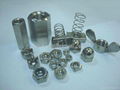 INOX A2 A4 Spring Nut 2