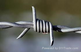 barbed wire 4