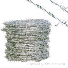 barbed wire 5