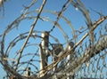 Razor Barbed Wire 4