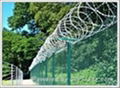 Razor Barbed Wire 5