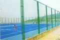 Chain Link Netting 2