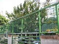 Chain Link Netting 3