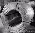 Galvanized Wire 1