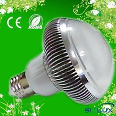 6W led bulb