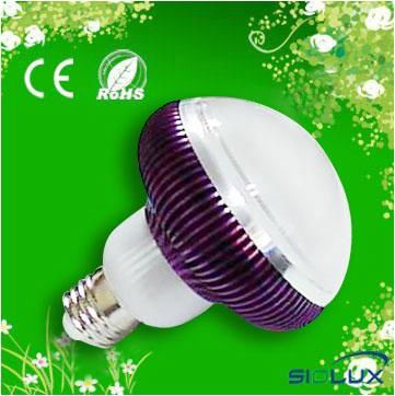 6W led bulb 5