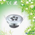 5w led down light 1