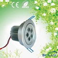 5w led down light 2