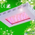 15-300w led grow light