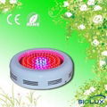 15-300w led grow light 4