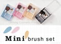 5 pcs travel cosmetic brush set