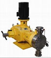 DP (M) DL Series Metering Pump 1