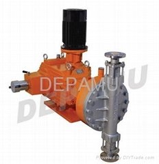DP (M) TS Series Metering Pump