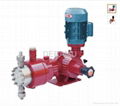 Diaphragm Metering Pump For Oil and Gas Project