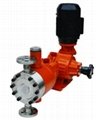 Diaphragm Metering Pump For Oil and Gas Project 3
