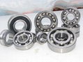 Deep Groove Ball Bearing (6000 series)