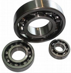 Deep Groove Ball Bearing (6300 series)