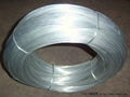 Electro Galvanized Wire 1