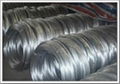 Electro Galvanized Wire 5