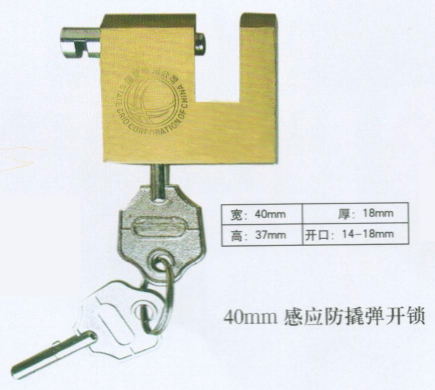 供應多種電力表箱鎖 2