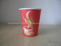 Disposable paper cups