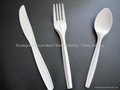 100% biodegradable cutlery