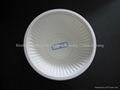biodegradable disposable bowls